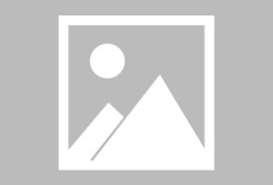 九游官方官网 -上海申花官方最新信息